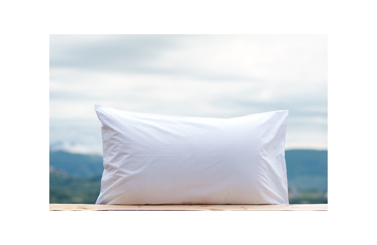 50x80 pillow shop case